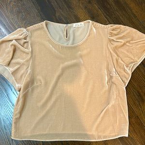 Love Shack Fancy Velvet top XS